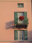 SX19004 Shadow on wall of balcony and flowers.jpg